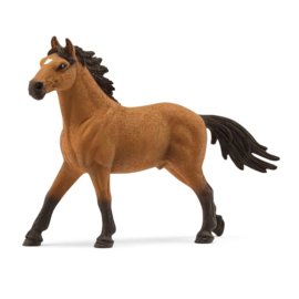 Mustang hengst 72200 LIMITED