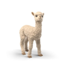 Alpaca veulen 14986