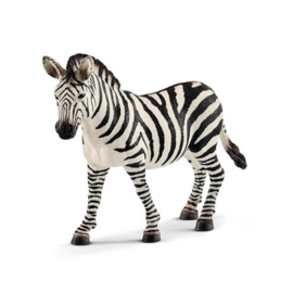 zebra merrie 14810 18