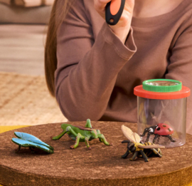 Ontdekkingset insecten 42741