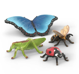 Ontdekkingset insecten 42741