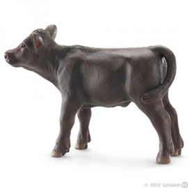 black angus kalf 13768 -