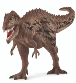 Carcharodontos 15048