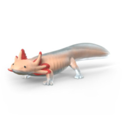 axolotl 14987