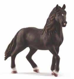 Andalusier hengst LIMITED