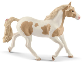 paint horse jument 13884