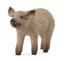 Mangalica big 14893