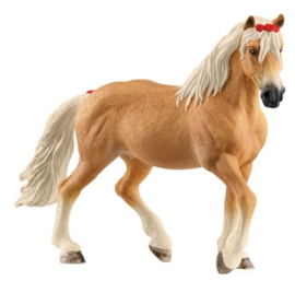 Haflinger merrie 13950