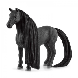 jument Criolo Definitivo beauty horse  42581