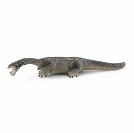 nothosaurus 15031