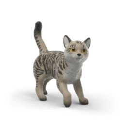 tijgerkat 14985