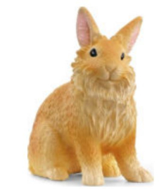 lapin lionhead 13974