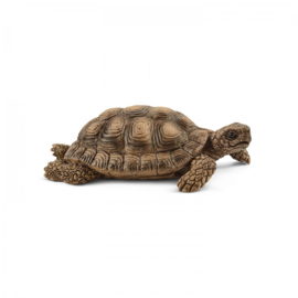 schildpad met huis 42506