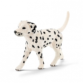 dalmatier reu 16838 - 17082 OUT