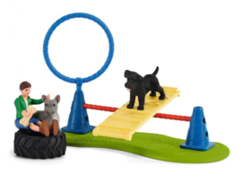 puppy agility training 42536