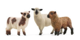 schapen vrienden 42660