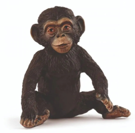 chimpansee jong 14884