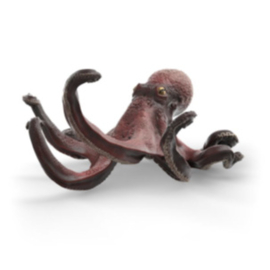 octopus 14976