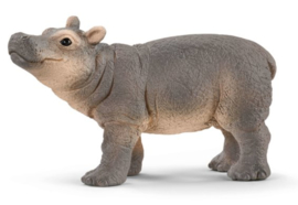 jeune hippopotame 14831