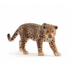 jaguar 14769