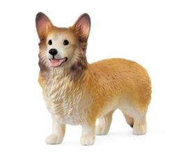 Welsh corgie 13999