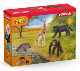 Starters set 72162 LIMITED