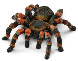 vogelspin tarantula 14829