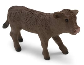 animaux