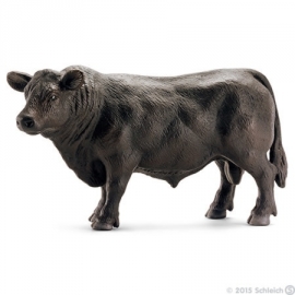 black angus stier 13766 -