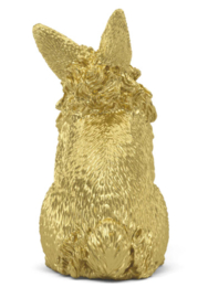 konijn GOUD special 72276