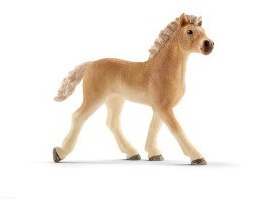 Haflinger poulain 13814