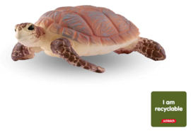 karetschildpad 14944 CIRCULAR