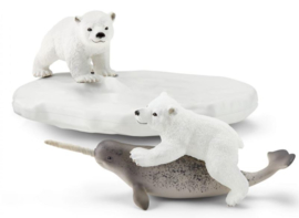 glissade en folie des ours polaires 42531