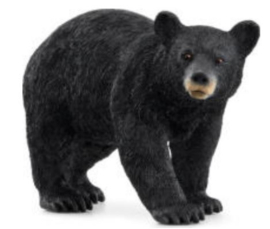 ours noir d'amérique 14869