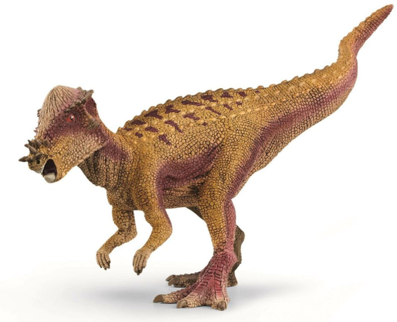 pachycephalosaurus 15024