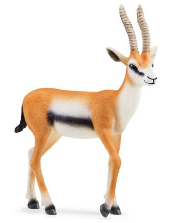 thomson gazelle 14861