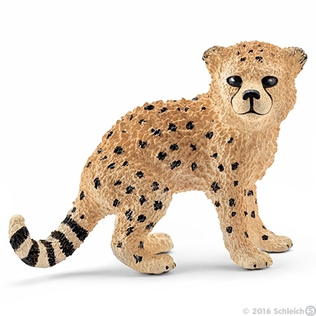 cheetah pup 14747