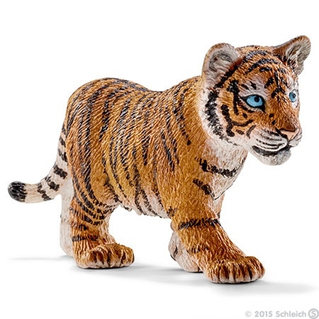 bébé tigre du bengale 14730 -