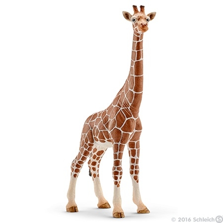 giraf koe 14750 -