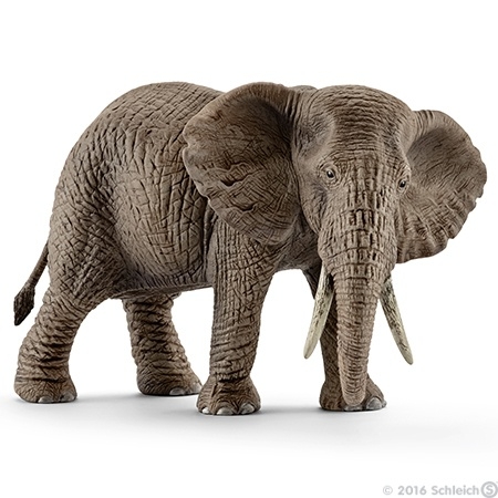 Afrikaanse olifant koe 14761 -