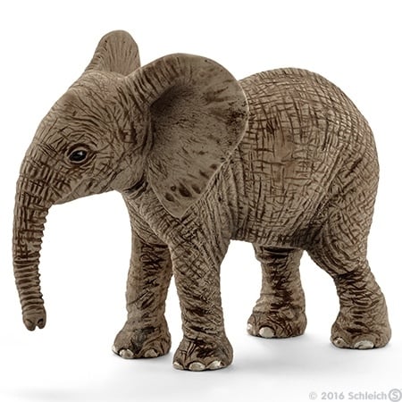 Afrikaanse olifant kalf 14763 -