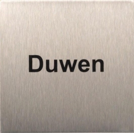 RP41 RVS Pictogram Duwen 80x80mm