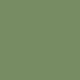 Vintage Paint Olive Green