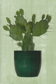 Print op hout CACTUS