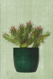 Print op hout CACTUS