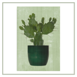 Print op hout CACTUS