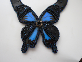 Burlesque Butterfly