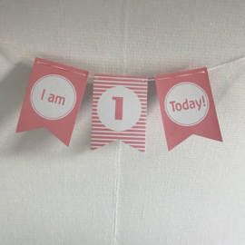 Slinger "I am One Today" Roze