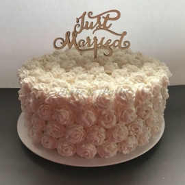 Taart Topper "Just Married" Hout