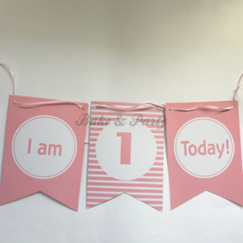 Slinger "I am One Today" Roze